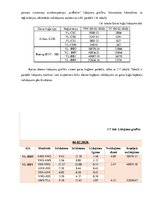 Referāts 'Gaisa kuģu lidojumu un tehniskās apkopes plānošana', 13.