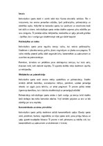 Eseja 'Individuālais sports un pašdisciplīnas attīstība skolēniem', 1.