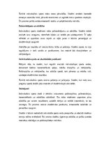 Eseja 'Individuālais sports un pašdisciplīnas attīstība skolēniem', 2.