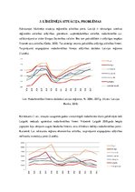 Referāts 'Latvijas reģionālās attīstības reformas izstrādes process', 7.