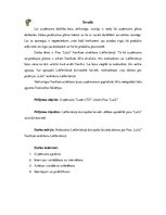 Referāts '"Pica Lulū" franšīzes atvēršana Lielbritānijā', 1.