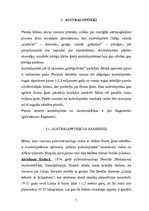 Referāts 'Cilvēka izcelšanās problēmas arheoloģiskā izpēte', 7.