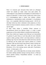 Referāts 'Cilvēka izcelšanās problēmas arheoloģiskā izpēte', 10.