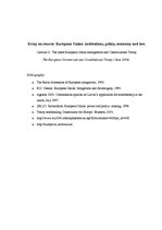 Eseja 'The Latest European Union Enlargement and Constitutional Treaty', 1.