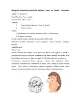 Konspekts 'Bilingvālā nodarbība pirmsskolā: Jēdzieni "viens" un "daudz". Понятия "один" и "', 1.