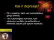Prezentācija 'Depresija', 2.