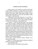 Biznesa plāns 'SIA "D"', 11.