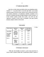 Biznesa plāns 'SIA "D"', 13.