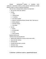 Biznesa plāns 'SIA "D"', 22.