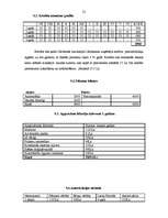 Biznesa plāns 'SIA "D"', 25.