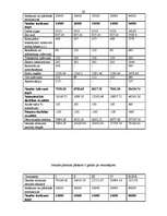 Biznesa plāns 'SIA "D"', 28.