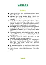 Konspekts 'E.Virza "Straumēni"', 4.