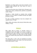 Konspekts 'E.Virza "Straumēni"', 5.