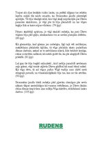 Konspekts 'E.Virza "Straumēni"', 6.