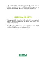 Konspekts 'E.Virza "Straumēni"', 8.