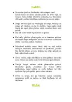 Konspekts 'E.Virza "Straumēni"', 9.