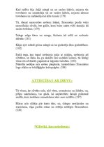 Konspekts 'E.Virza "Straumēni"', 10.