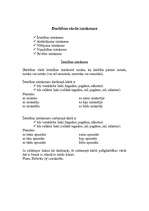 Konspekts 'Darbības vārds', 5.