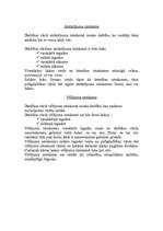 Konspekts 'Darbības vārds', 7.