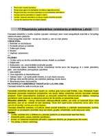 Konspekts 'Politika', 17.