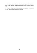 Prakses atskaite 'Prakses pārskats pasažieru pārvadājumu uzņēmumā', 16.