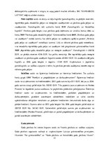 Prakses atskaite 'Prakses pārskats pasažieru pārvadājumu uzņēmumā', 23.