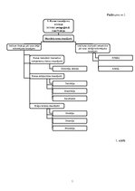 Referāts 'Runas (pirmsskolas vecumā) un rakstīšanas (sākumskolas vecumā) traucējumi bērnie', 33.