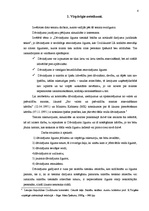 Referāts 'Dāvinājuma līgums', 3.