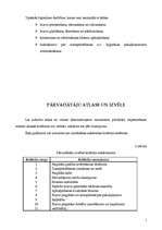 Konspekts 'Transporta veida izvēle', 7.