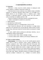 Referāts 'Izmaksu klasifikācija', 6.