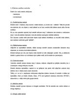 Referāts 'Klāsteru analīzes izmantošanatirgzinību pētīšanā', 8.