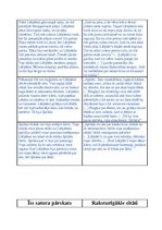 Konspekts 'Eposs "Lāčplēsis"', 25.