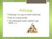Prezentācija 'Kūltūraugi', 2.