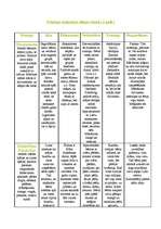 Konspekts 'Principa realizācija dienas ritmā', 1.