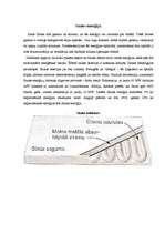 Referāts 'Alternatīvās enerģijas resursi', 3.