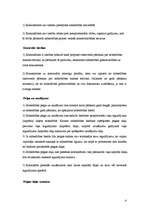 Konspekts 'Komandītabiedrība, raksturojums, dibināšana, darbības kārtība', 4.