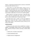 Referāts 'Senās Grieķijas vispārīgais raksturojums', 11.