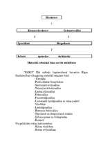 Biznesa plāns 'SIA "Koks"', 6.