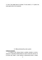 Referāts 'Brīvdienu mājas "Maķeši"', 14.