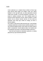 Referāts 'Uzņēmuma konkurētspējas ārējā tirgus analīze', 2.