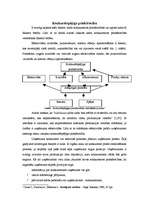 Referāts 'Uzņēmuma konkurētspējas ārējā tirgus analīze', 3.