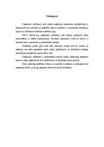 Referāts 'Uzņēmuma konkurētspējas ārējā tirgus analīze', 9.