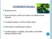 Prezentācija 'Literārā pasaka, literāri publicistiskie žanri un mazās prozas formas', 5.