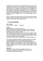 Konspekts 'Svešvārdu skaidrojums sociālā psiholoģijā. Personības socializācijas procesa rak', 4.