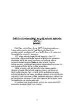 Eseja 'Negadījumi uz ceļiem Latvijā', 11.