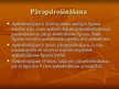 Prezentācija 'Apdrošināšana', 7.