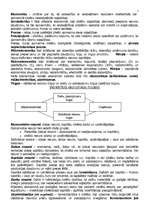 Konspekts 'Ekonomika', 1.