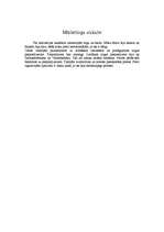 Prakses atskaite 'Mārketinga atskaite', 1.