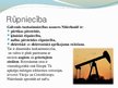 Prezentācija 'Nīderlande', 12.