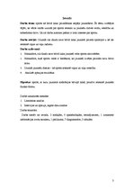 Referāts 'Sports kā brīvā laika pavadīšanas iespēja jauniešiem', 3.